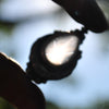 Size 8.25 + Lunar Dew, Star Rose Quartz