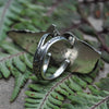 Size 5, Beneath the Ferns, Star Moonstone